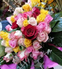 Orchidea Si Fasano Rita