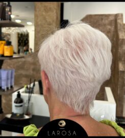 Larosa Parrucchieri in Torino