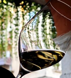 Vikos Ristorante Greco