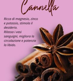 Farmacia Internazionale